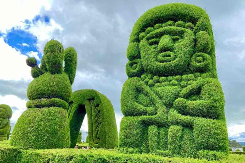Still more topiary art.